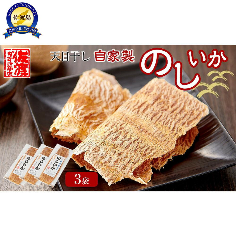 【ふるさと納税】天日干し 自家製 のしいか 3袋 | 魚介類 水産 食品 人気 おすすめ 送料無料