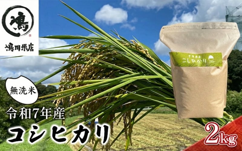 
            コシヒカリ　無洗米　2kg　令和7年産 お米 精米 ご飯 美味しい 粘り つやつや 甘み  [№5346-0382]
          