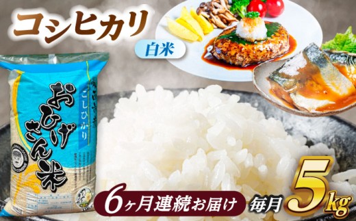 【6回定期便】コシヒカリ 白米 5kg×6ヵ月 愛西市 / 脇野コンバイン [AECP025]