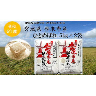 【精米】令和6年宮城県登米市産「ひとめぼれ」5kg×2袋 合計10kgセット【1379066】