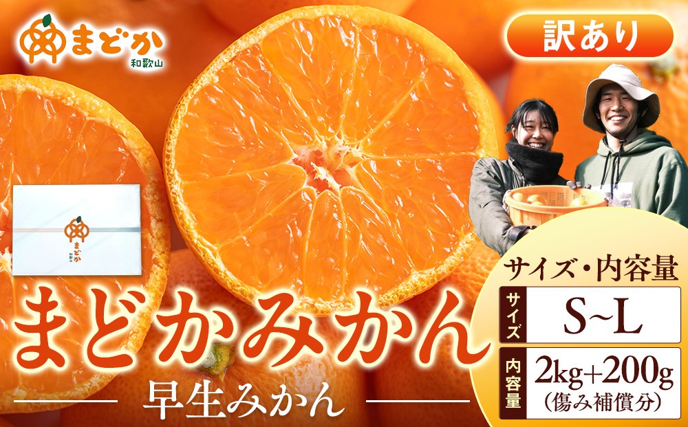 
                  ［先行予約］［訳あり］秋採れみかん（早生みかん）S〜Lサイズ混合 2kg＋200g（傷み補償分）［2025年11月上旬より発送］
                
