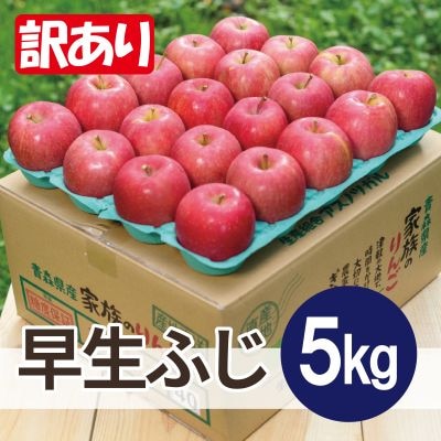 【2025年10月発送予定】平均糖度12度以上! 早生ふじ 約5kg 訳あり【配送不可地域：離島・沖縄県】
