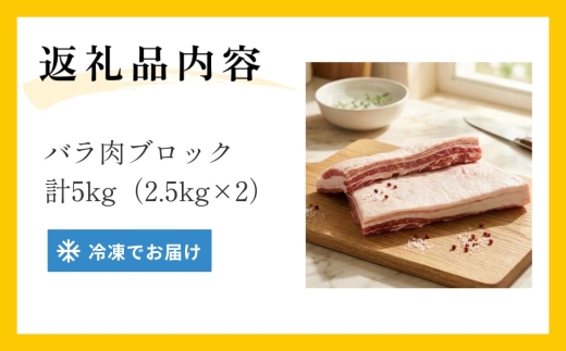 大分県産ブランド豚 奥豊後豚（米の恵み） バラ肉ブロック 5kg (2.5kg×2) 豚バラ 豚肉