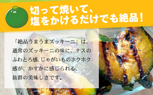 希少！「絶品うまうまズッキーニ」サイズ色々 2～5個 農薬を使わず、特許製法のシリカ水で栽培する特別な野菜 11月～3月順次発送【 沖縄県 石垣市 丸形 だるま型 ズッキーニ 野菜 夏野菜 冬野菜 南
