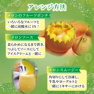 ＜2026年先行受付＞ 飯岡メロン 約3.4kg (約 1.7kg × 2玉) 青肉 【 メロン 】