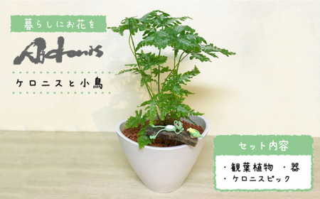 【暮らしにお花を】森の中のケロニスと小鳥＜フラワーデザイン アドニス＞那珂川市 雑貨 雑貨 雑貨 雑貨 雑貨 雑貨 [GBN001] 16000 16000円