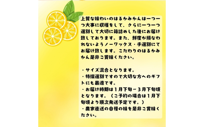 【先行予約】【人気柑橘】 特撰 はるかみかん 3kg+200g(痛み補償分) ※2027年1月下旬～3月下旬に順次発送【ard249A】