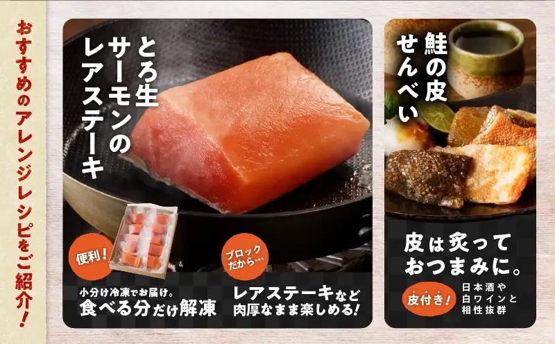【全6回定期便（隔月）】【王子サーモン】生を超えた「とろ生サーモン」お刺身用ブロック 1kg T041-T09-04 定期便 定期 魚