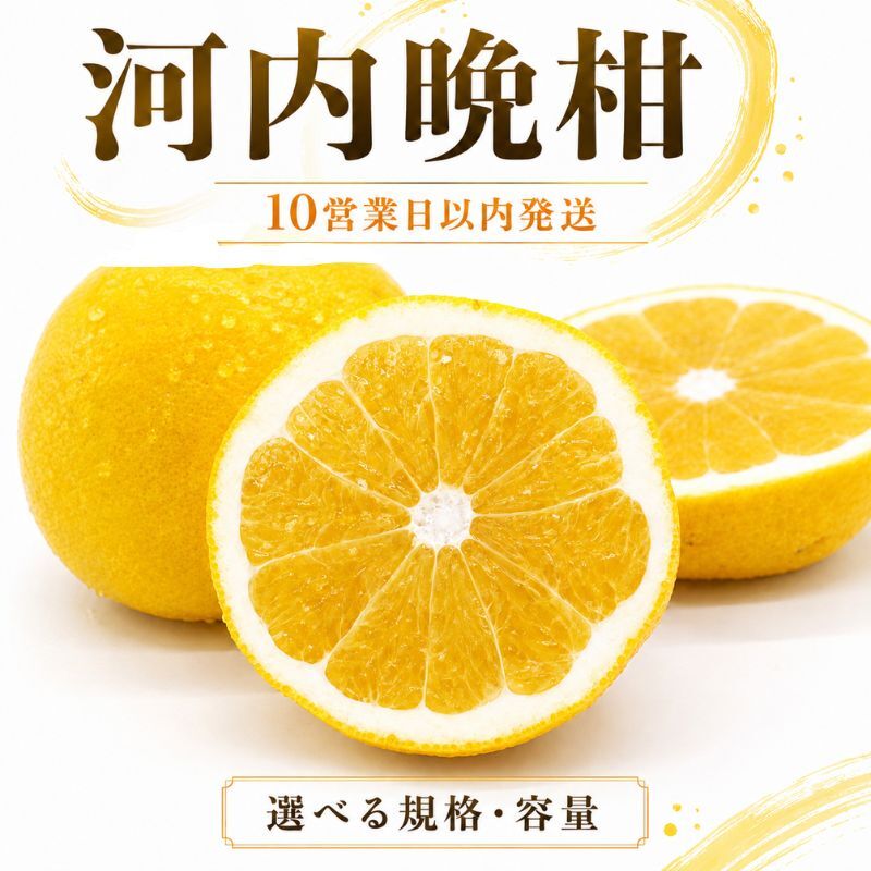 【ふるさと納税】 【10営業日以内発送】 河内晩柑 訳あり 約 4kg 約 9kg 通常品 約 5kg 約 10kg ばんかん サイズミックス 不揃い 柑橘 フルーツ 果物 厳選 愛媛 みかん くだもの 蜜柑 ご当地 ブランド ピール デザート フルーツアイランド マルエム直販 愛媛県 愛南町