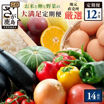 ふるさと納税 鹿島市 【毎月定期便】肥前の国の農産物大満足セット 野菜・卵・米・果物等14品目程度詰め合わせ鹿島市全12回