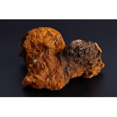 ふるさと納税 上越市 【新感覚 ノンアルコール チャーガ飲料】Hi WAGANA’ チャーガ茶 720ml×8本 |  | 02