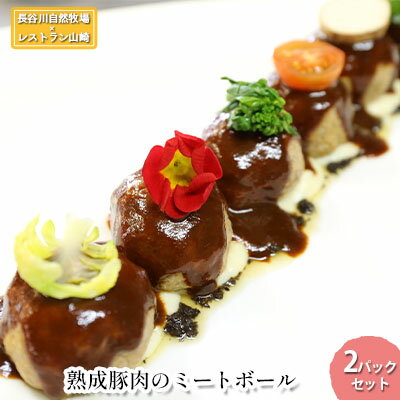【ふるさと納税】熟成豚肉 ミートボール 2パック セット 詰め合わせ 長谷川自然牧場 レストラン山崎 冷凍 加工肉 加工品 豚 豚肉 お肉 肉 おつまみ つまみ 惣菜 おかず 朝食 夕飯 お弁当 熟成豚 青森 青森県 鯵ヶ沢町