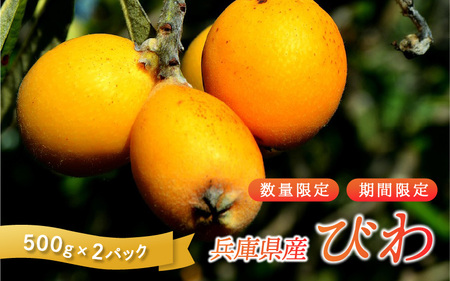 【先行予約/数量限定】 びわ 兵庫県産 1kg 小分け 500g 2パック