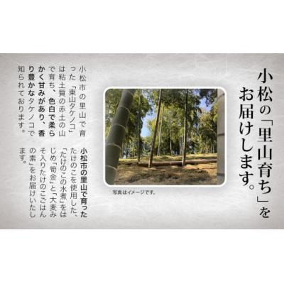 ふるさと納税 小松市 加賀たけのこ三昧セット 筍 |  | 01