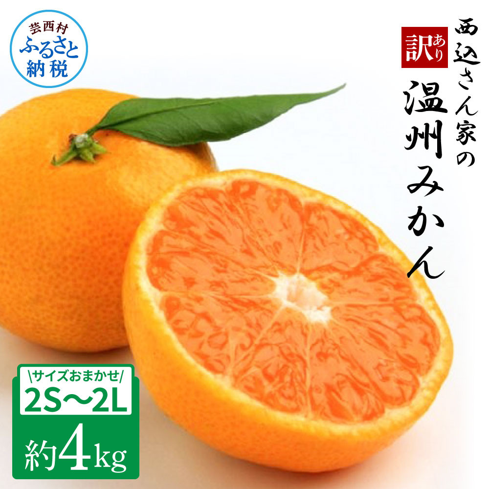 
            西込さん家の温州みかん 約4kg・ｻｲｽﾞおまかせ(2S～2L) ワケあり品(外皮にシミ・傷あり) 4キロ 柑橘 蜜柑 果物 フルーツ 訳あり 家庭用 自宅用 常温 数量限定 配送可能時期12月末まで
          