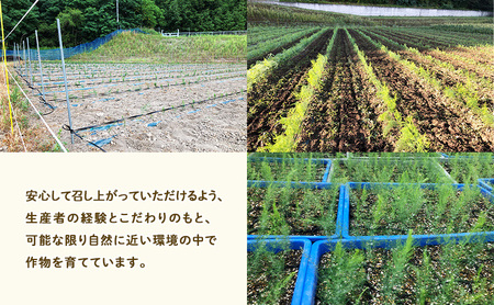【2027年春発送】半農半画家 イマイ畑 自慢の≪アスパラガス 1kg サイズ混合 約20～25本≫ 露地栽培 北海道 富良野市 (イマイカツミ) 野菜 アスパラ 健康 太い 安心 道産 産地直送