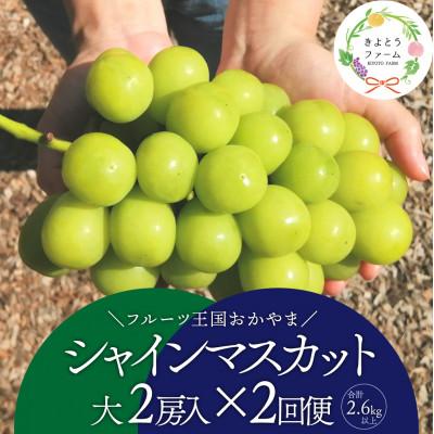 ふるさと納税 真庭市 【発送月固定定期便】シャインマスカット(大2房)の満足便!2便計2.6kg〜(岡山県産)全2回