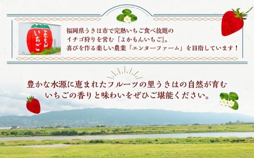 【2026年2月発送】 よかもんいちご あまおう苺セット 8パック （計約2.16kg） よかもん苺 苺 いちご イチゴ 果物 果実 フルーツ 九州 福岡県 うきは市 冷蔵