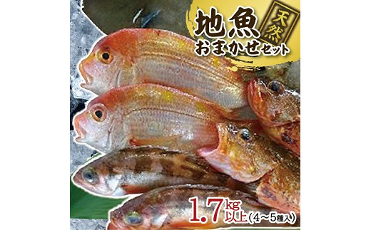 
511　地魚おまかせセット　4～5種類入り計1、7kg以上
