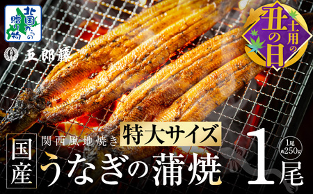 【土用の丑の日までにお届け】超ビッグサイズ！数量限定！老舗「五郎藤」 関西風地焼き 国産有頭旨鰻 250g×1尾【特大 うなぎ ウナギ 蒲焼き 炭火】