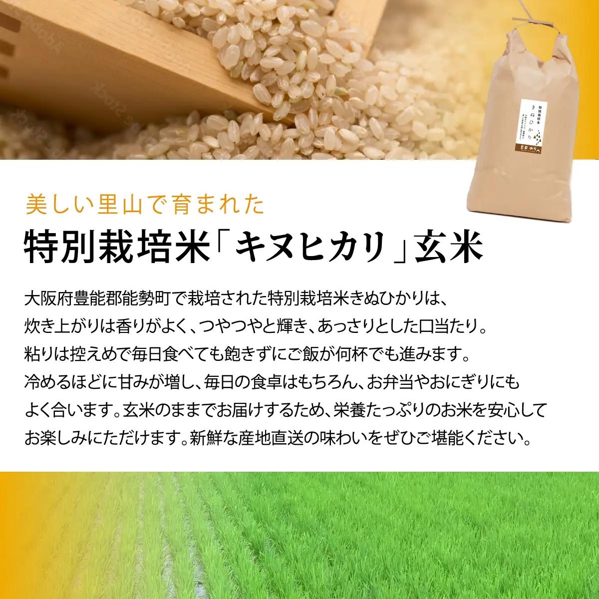 《予約受付中》令和8年産 特別栽培米 キヌヒカリ (玄米) 10kg×1袋 | 農園のら | 米 新米 玄米 10kg キヌヒカリ 減農薬 自然栽培 特別栽培 食 | おにぎり 弁当 産地直送 | 大