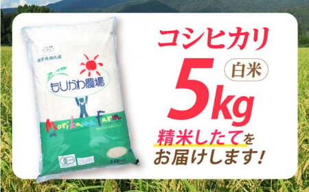 滋賀県産JASオーガニック コシヒカリ 白米5kg　滋賀県長浜市/有限会社もりかわ農場[AQBL009]