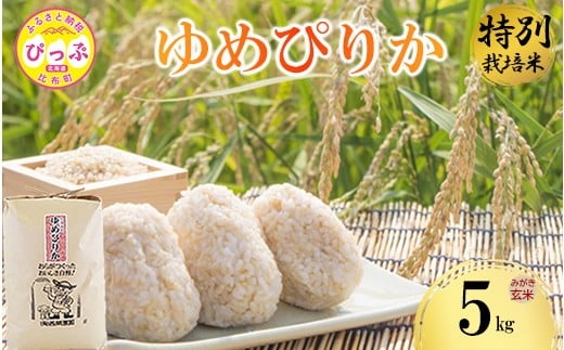 
                  令和7年産 特別栽培米 ゆめぴりか みがき玄米 5kg【西間農園】玄米 お米 米 北海道産 北海道米 特Aランク 国産 コメ JGAP認証農場 北海道 比布町 ぴっぷ 1005-051
                