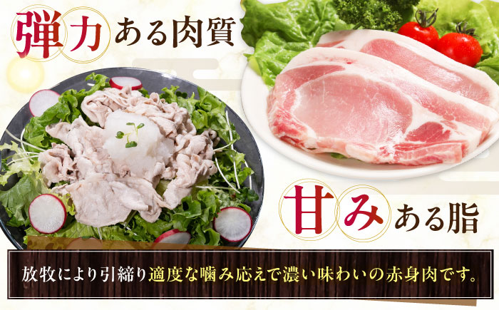 【全2回定期便】【簡易包装】放牧豚 スライス肉3種セット（ロース2種/モモ） 《厚真町》【ファーマーズファクトリー株式会社】 ロース モモ 豚肉 とんかつ しゃぶしゃぶ ステーキ 北海道 セット 詰め