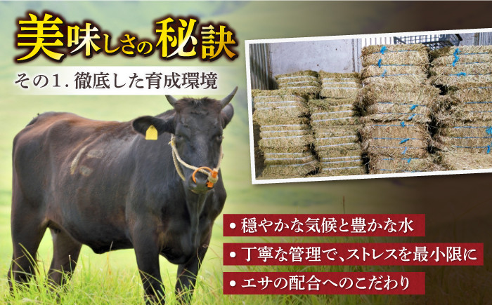 牛肉 肉 佐賀牛 ロース　ステーキ 厚切り