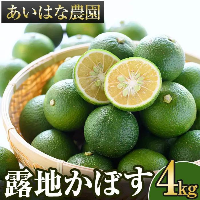 ＜2026年8月上旬以降お申込み順に発送＞露地カボス(約4kg)かぼす カボス 柑橘 特産品 大分県産【107100303】【あいはな農園】