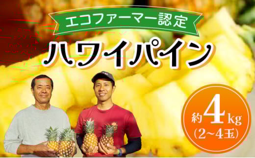 《2025年先行予約》ハワイパイン約4kg 【お届け：2025年6月中旬～7月下旬】【農園ファイミール 完熟 果物 フルーツ パイン パイナップル】