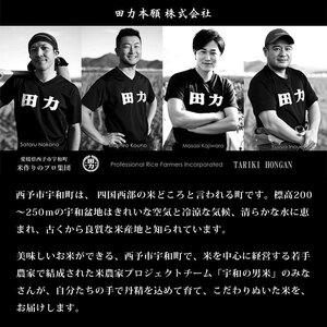 ＜令和7年産 田力米 5kg コシヒカリ＞お米 こめ コメ 白米 精米 こしひかり ご飯 ごはん 特産品 産地直送 田力本願 愛媛県 西予市【常温】『2025年9月下旬より順次出荷予定』UTH0001