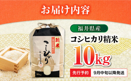 【 先行予約 /9月中旬以降発送】　【令和7年産】 福井県産 コシヒカリ 白米 10kg / 米 お米 精米 国産米 / 小浜市 / 北川博司[BFDG001]
