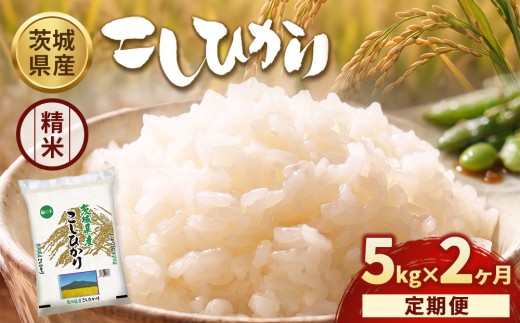 【定期便2ヶ月】【令和8年産】茨城コシヒカリ 5kg×1袋【精米】 | お米 米 こしひかり 茨城県産 白米 ブランド米 小分け