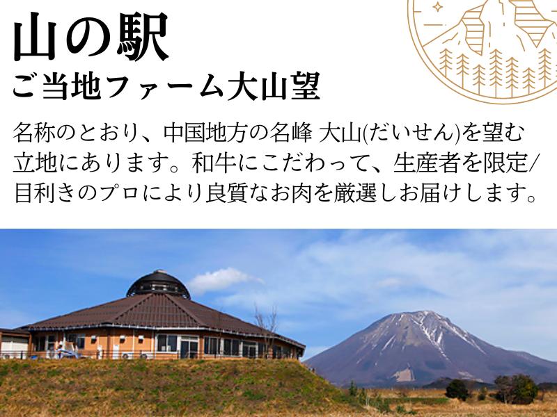鳥取和牛切り落とし 計1kg 500g×2 鳥取県産 ご当地ファーム大山望 MK9 1006