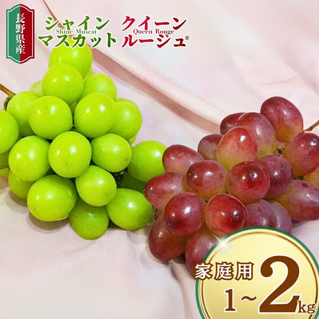 【ふるさと納税】シャインマスカット＆クイーンルージュ® 家庭用 1kg(各1房/計2房)/2kg(各2房/計4房)|葡萄 果物 フルーツ シャインマスカット クイーンルージュ 合計 2kg 産地直送 種無し 皮ごと食べれる 信州 長野 千曲市 送料無料