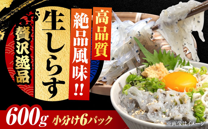 
            【お中元対象】しらす 冷凍 シラス 小分け 干し 生しらすのプリッした食感と塩味が抜群！生しらす100g×6個 冷凍 シラス 鮮魚 ギフト 海鮮丼 広島県産 江田島市/三島水産株式会社 [XCN005]
          