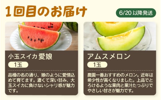 【先行予約】≪定期便/全3回≫フルーツ王国あわらのこだわり5品 農家直送 厳選品／ 期間限定 果物 フルーツ 青肉メロン 赤肉メロン 西瓜 とうもろこし 産地直送 ※2027年6月中旬より順次発送 [