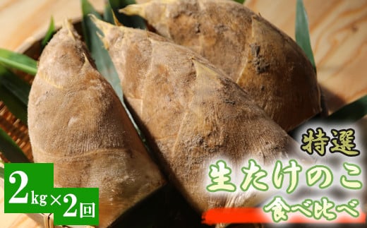 
【先行受付】特選 生たけのこ 食べ比べ 2kg×2回 予約 3月中旬と下旬の2回発送
