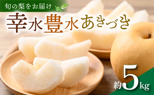 【 数量限定 】 先行予約 梨 約 5kg 13～16玉 幸水 豊水 あきづき 旬 品種おまかせ 2026年 8月～ 9月発送 予定 くだもの 果物 フルーツ なし ナシ デザート 幸水梨 豊水梨 産地直送 送料無料 千葉 ふるさと納税 千葉県 旭市 ヤマセ梨園 yms001_X1