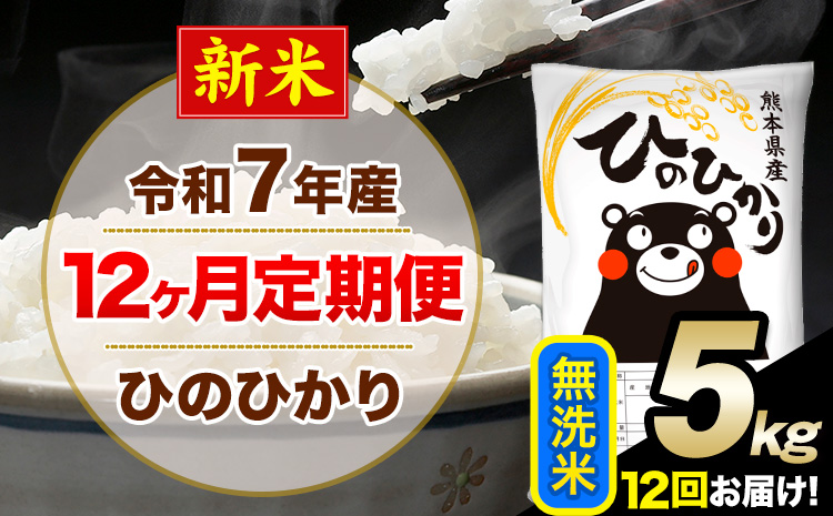 新米 令和7年産【12ヶ月定期便】 無洗米 ひのひかり 5kg 5kg×1袋《1月から出荷開始》熊本県産 単一原料米 南阿蘇村 ひのひかり 送料無料 熊本県 米 コメ こめ 国産---hn7tei_162000_5kg_jan12_mna_m---