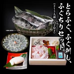 【10月20日以降配送】ふく亭　本店　とらふぐ　ふぐ刺し　ふぐちりセット（2～3人前　白子付き） E05008