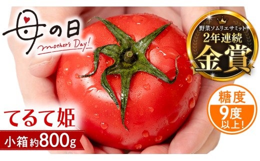 【母の日専用】 スーパーフルーツトマト てるて姫 小箱 約800g ×1箱 糖度9度以上 《5月4日～10日お届け メッセージカード付》 トマト とまと 野菜 母の日 ギフト 贈り物 プレゼント 感謝