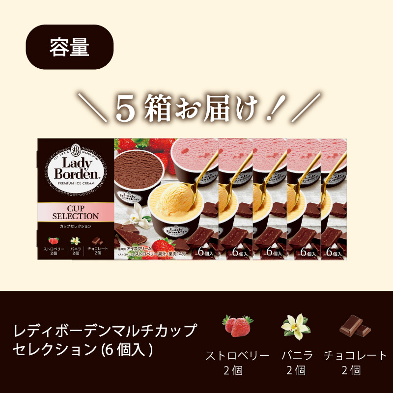 ロッテ レディーボーデン マルチ カップ セレクション ｜ レディーボーデン アイス セット 詰め合わせ バニラ チョコレート ストロベリー アイスクリーム 愛媛県 松前町 松前町おすすめ