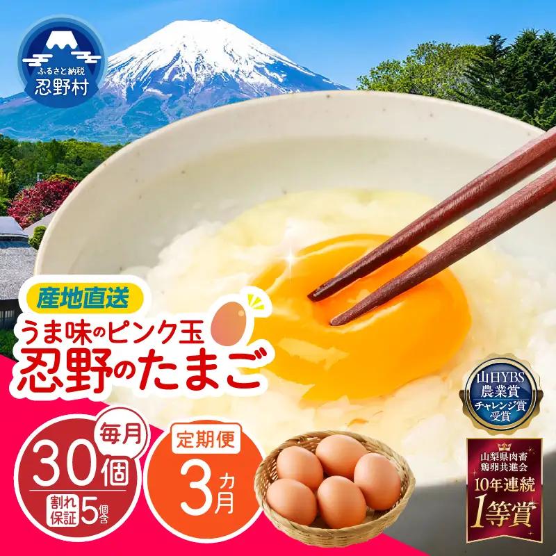 【3ヶ月定期便】”忍野の卵”旨味のピンク玉30個×3回 ※割れ保証含む 卵