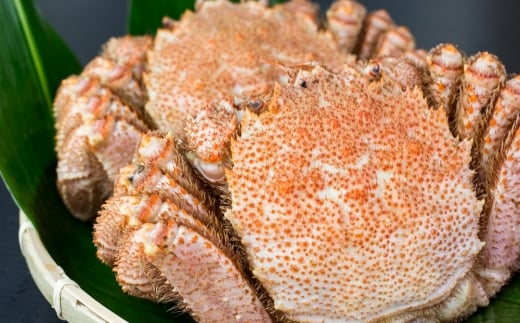 C-66016【12/10まで年内配送】 【北海道根室産】毛蟹700g×1尾