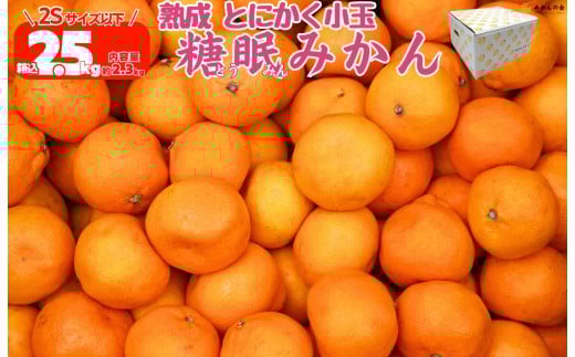 
            熟成 みかん とにかく 小玉 箱込2.5kg ( 内容量 2.3kg ) 2Sサイズ以下 秀品 優品 混合 有田みかん 和歌山産 産地直送 家庭用 【みかんの会】
          