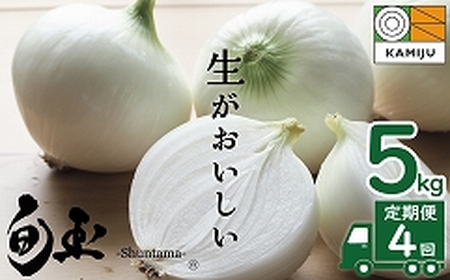 (2027年発送)【先行予約】新玉ねぎ 食べ比べ定期便 生がおいしい 神重農産のブランド玉ねぎ「旬玉」5kg×4回 ブランド玉ねぎ 玉ねぎ 新玉ねぎ 国産 愛知県産 野菜 やさい 農家直送 畑直送 旬 たまねぎ 先行予約 旬 特産 高評価 高リピート 人気 H105-266