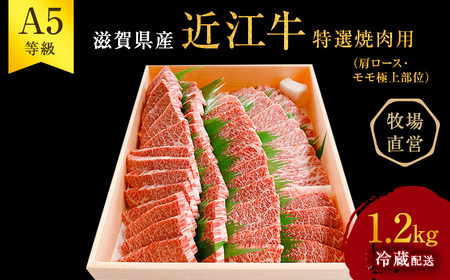 【1.2kg】【A5ランク】近江牛 特選焼肉 A5雌牛 サーロインステーキ 近江牛