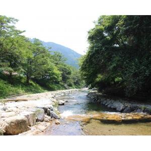 渓流釣り体験【大人1名入場券】【1672835】